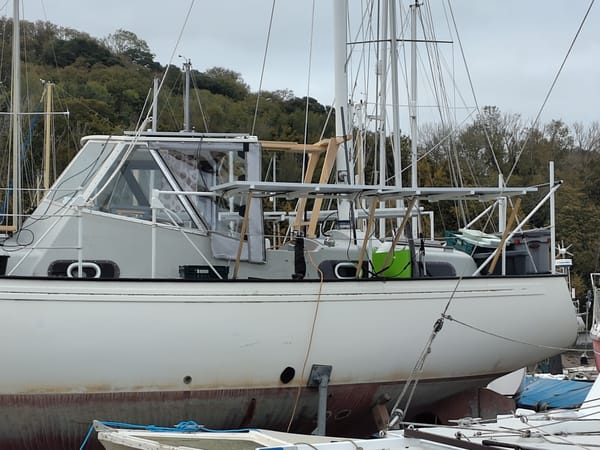 Summary Weekly Newsletter 12th October